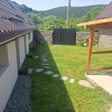 Casa Noua Villa Sasca Montana Luaran gambar