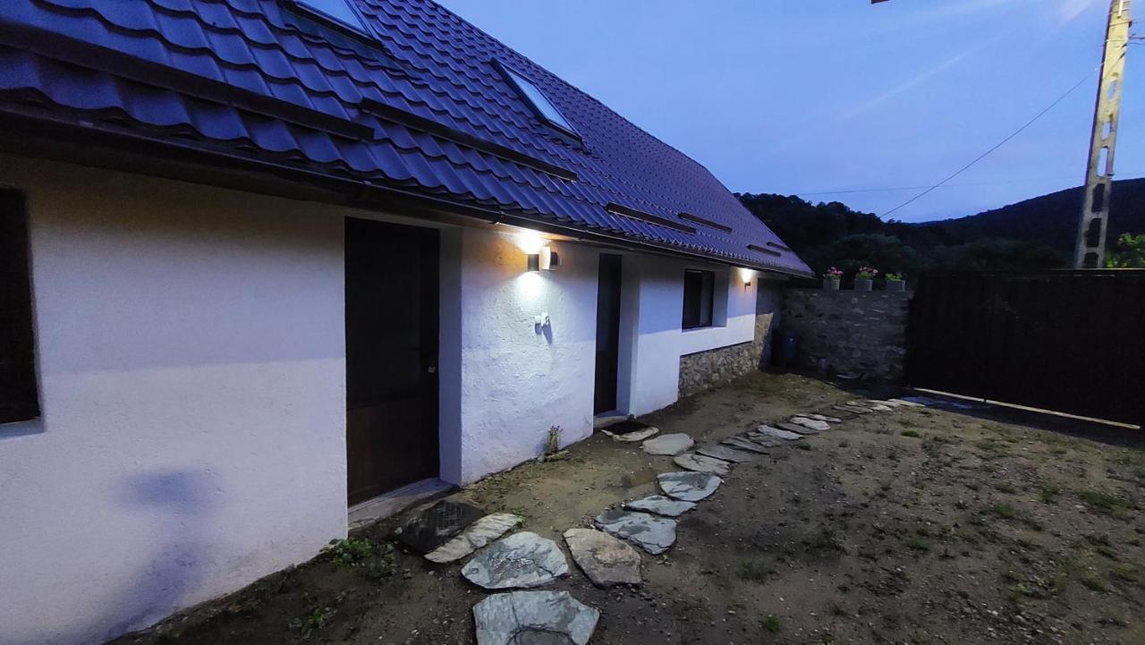 Casa Noua Villa Sasca Montana Luaran gambar