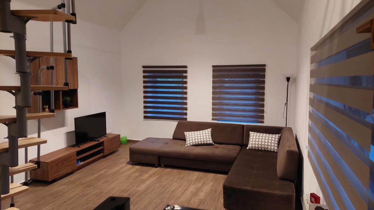 Casa Noua Villa Sasca Montana Luaran gambar