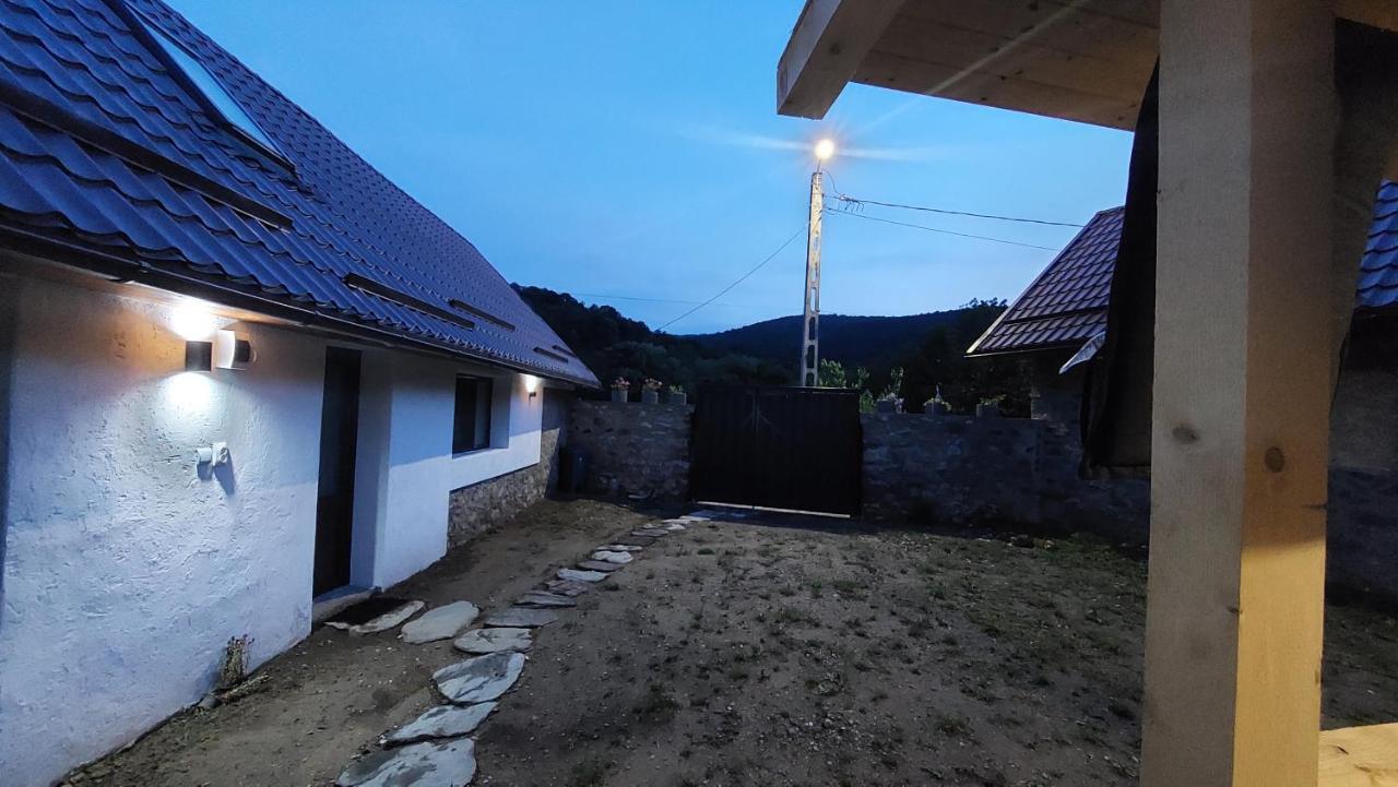 Casa Noua Villa Sasca Montana Luaran gambar