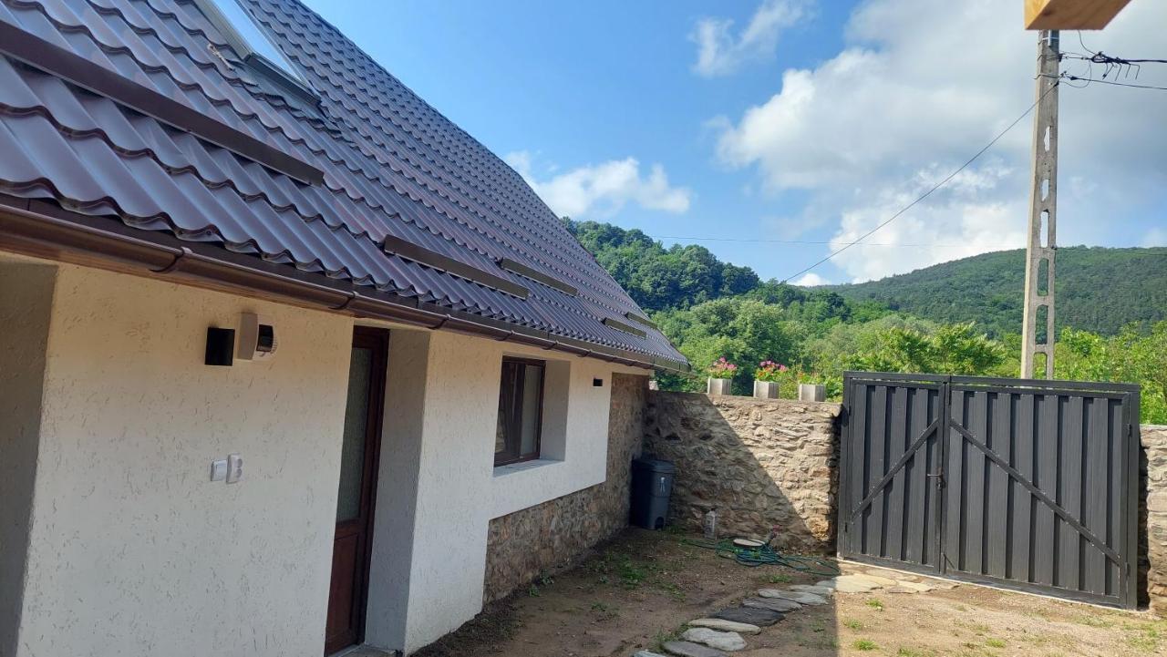 Casa Noua Villa Sasca Montana Luaran gambar