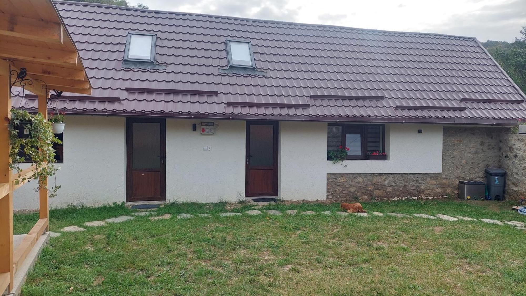 Casa Noua Villa Sasca Montana Luaran gambar