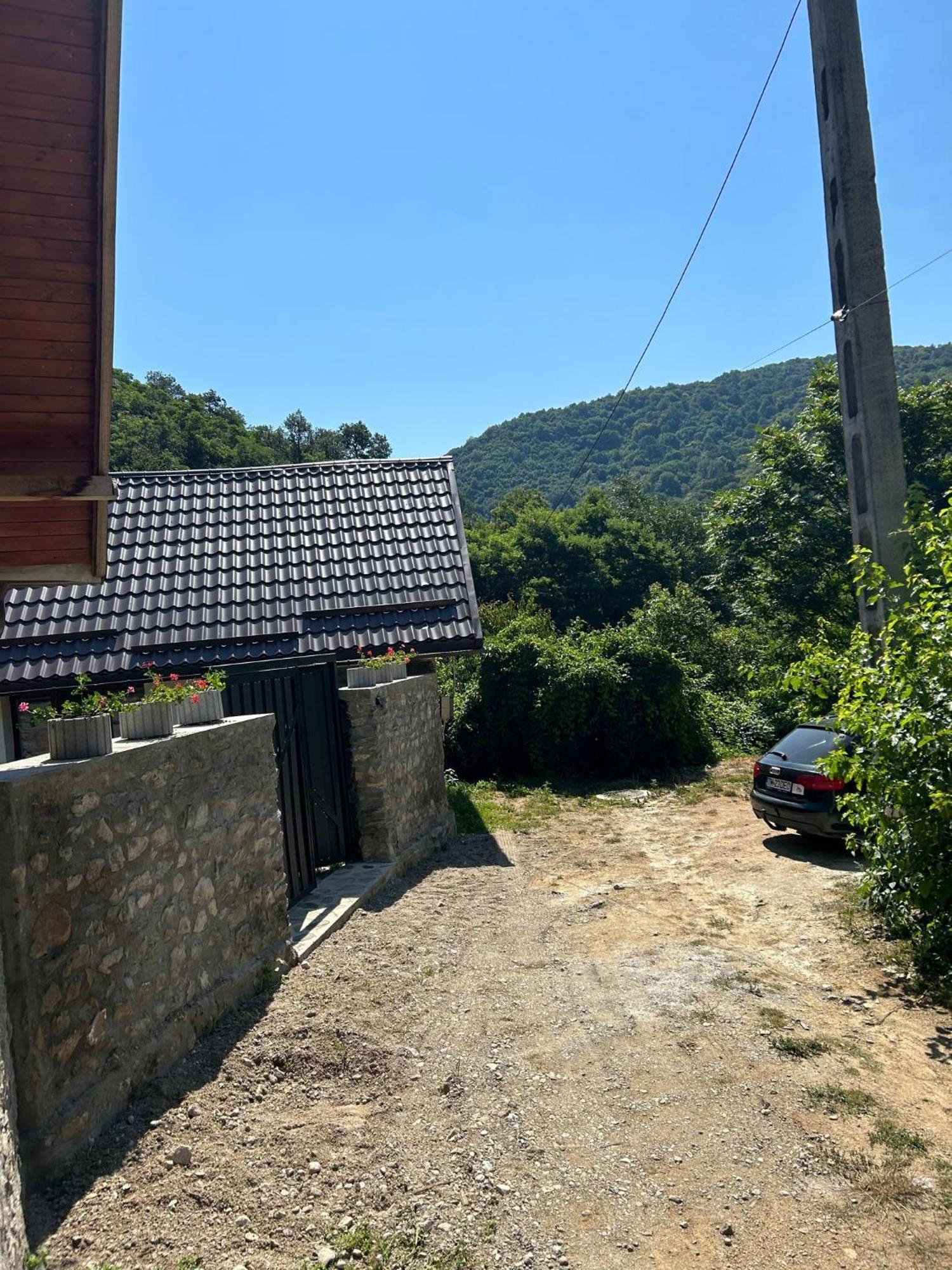 Casa Noua Villa Sasca Montana Luaran gambar