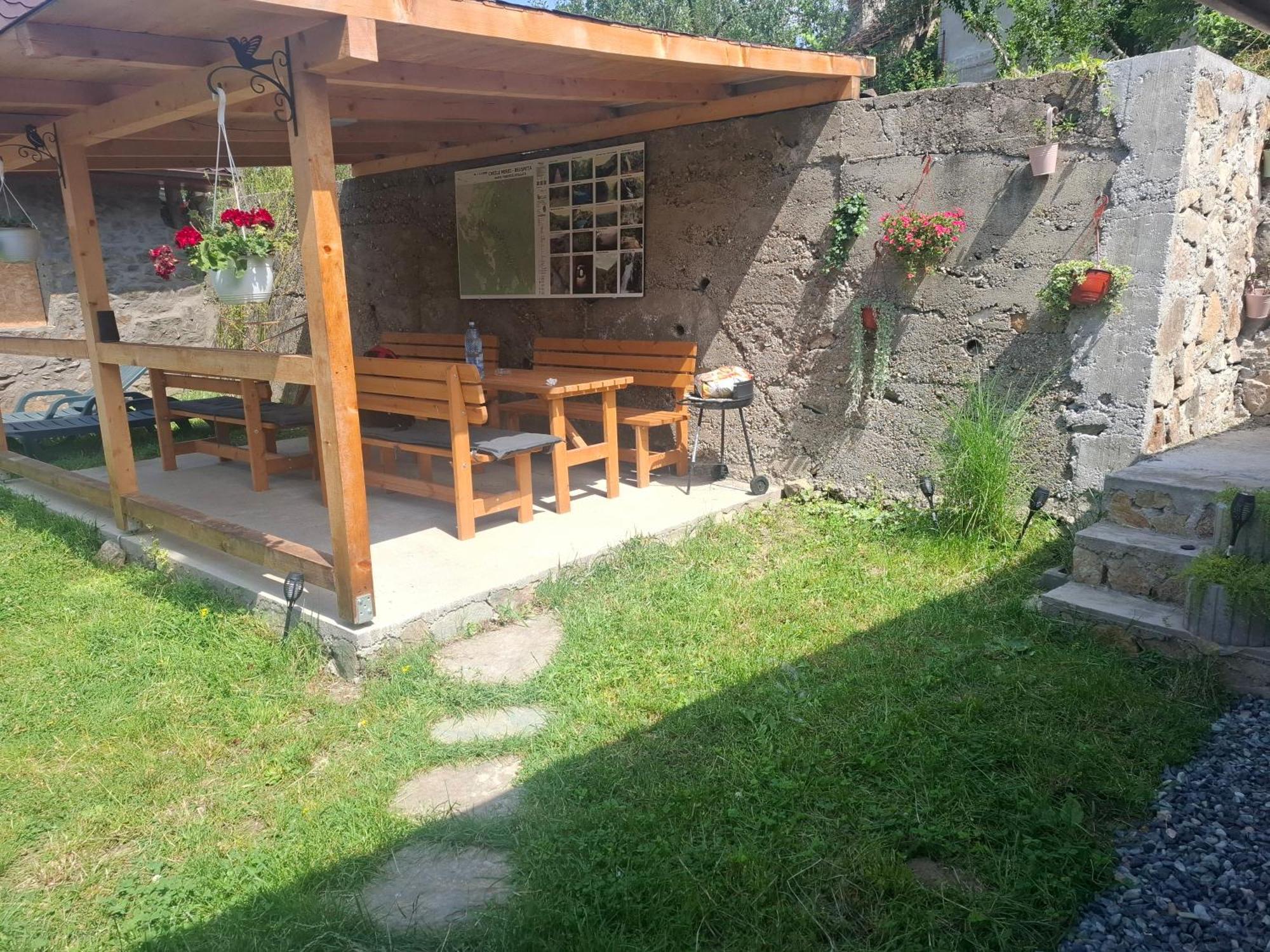 Casa Noua Villa Sasca Montana Luaran gambar